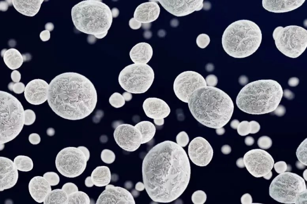 ���˹��ʴ���-welcome��ҳ