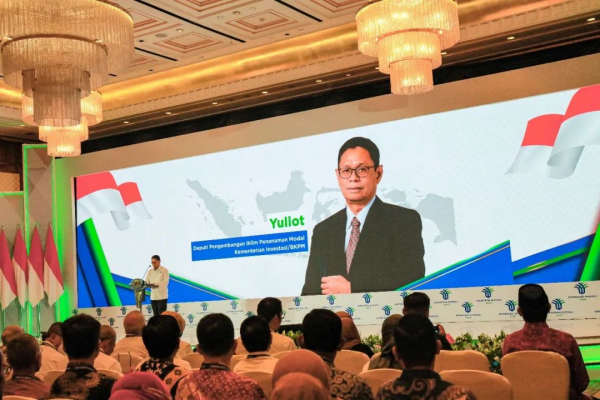 ���˹��ʴ���-welcome��ҳ