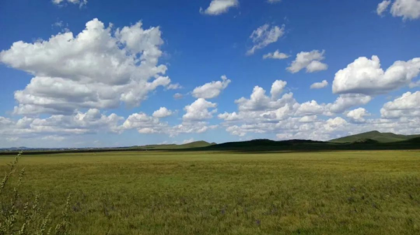 ���˹��ʴ���-welcome��ҳ