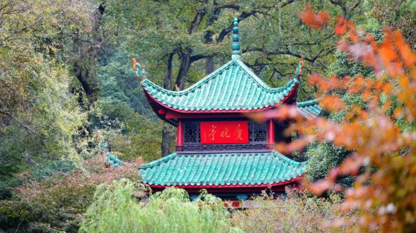 ���˹��ʴ���-welcome��ҳ