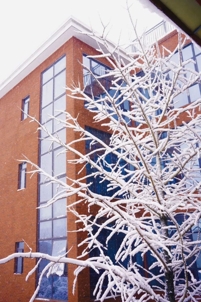 ���˹��ʴ���-welcome��ҳ