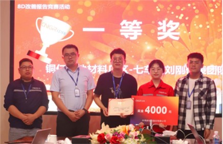 ���˹��ʴ����ɷ�8D���ƻ㱨�����ɹ�����