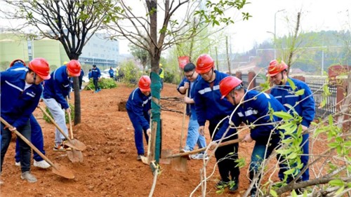 ���ֲ��������ֲһĨ������������ɫ�������̣�