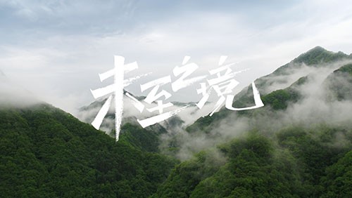 ���˹��ʴ����з�ר��Ƭ��δ��֮����