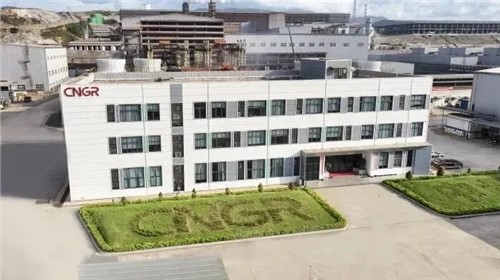 ���˹��ʴ����ɷ�������¹���Ŀͨ��RMI ESG���