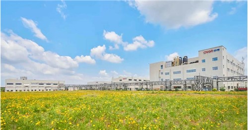 ½�����������Ȳ����������˹��ʴ����ɷ���ѡ2025���й���Ӫ��ҵ500ǿ