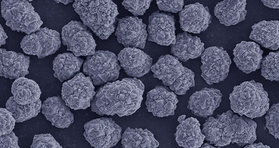 ��Ԫ����Ԫ������