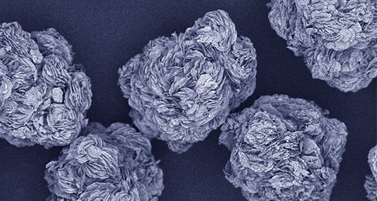 �Ƶ�������