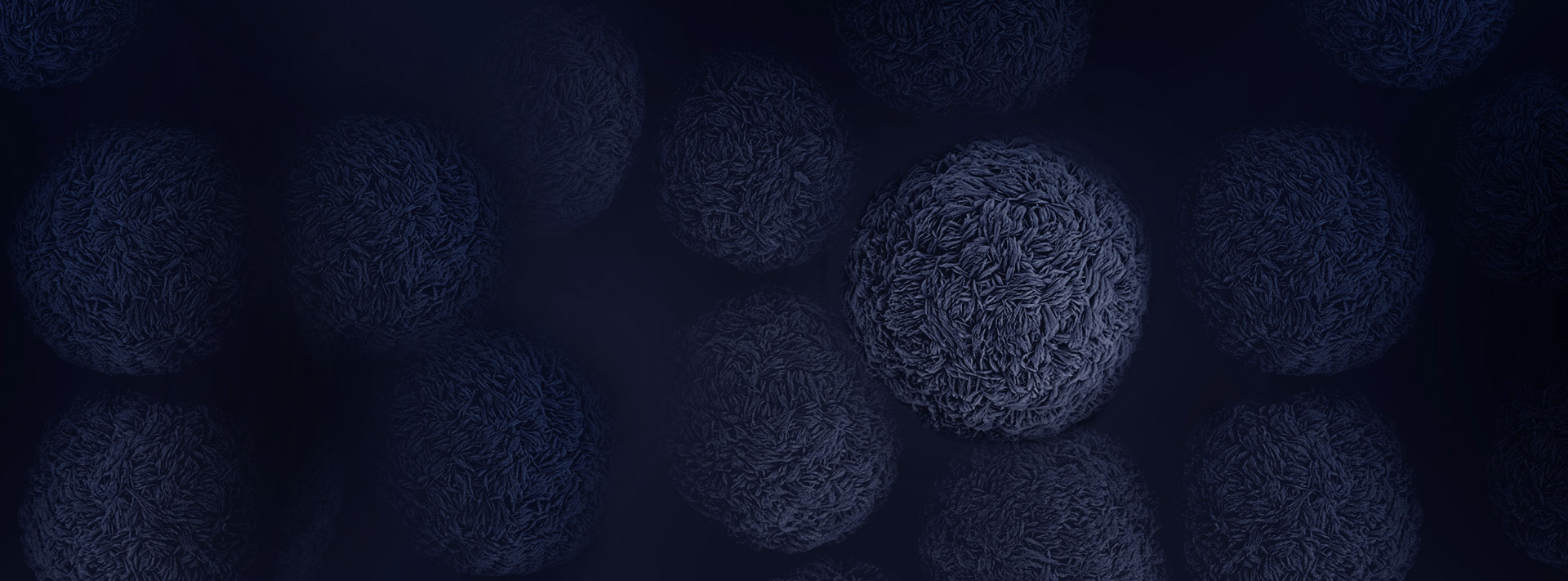 eda18e98-0b4d-4d35-9bb6-01805f714d16