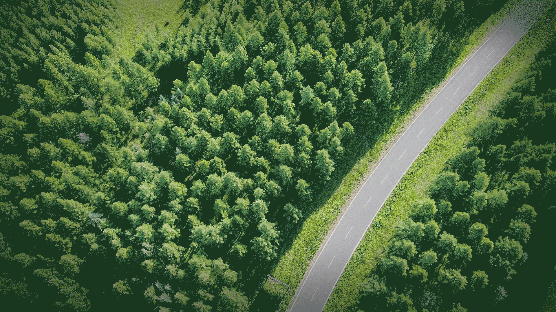 34d1c835-640f-4d07-9866-3460e60ddc4d